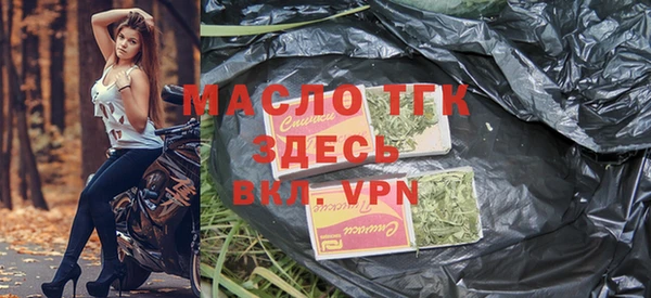 СК Алексин