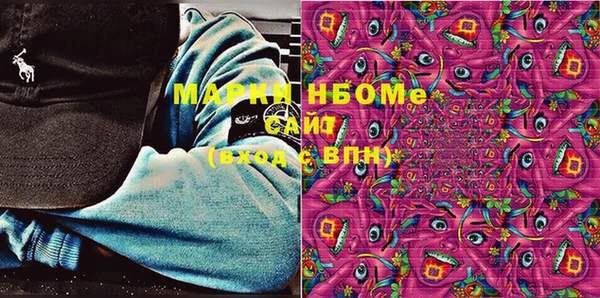 СК Алексин