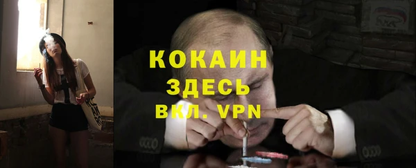 СК Алексин