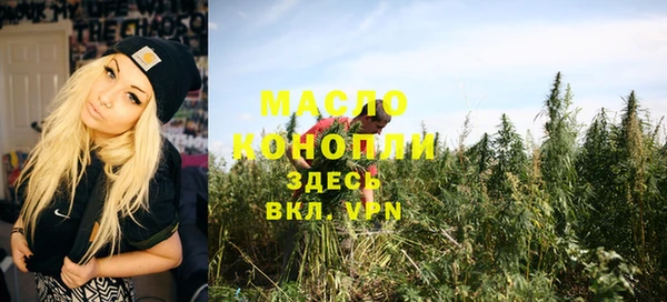 СК Алексин