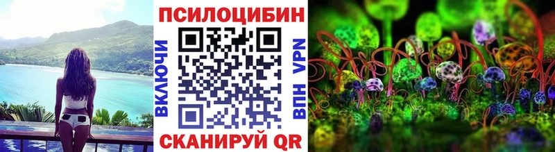 shop формула  что такое   Могоча  Галлюциногенные грибы мицелий 