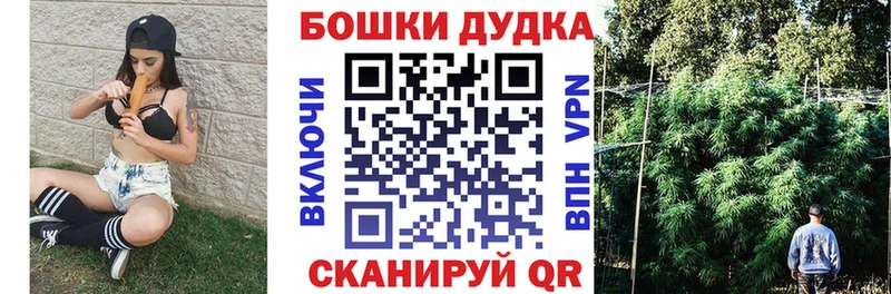 Бошки марихуана план  Могоча 